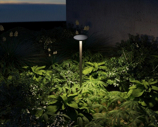 Bloomer – VXBL68554