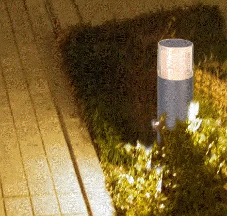 Pillar-VXBL46538